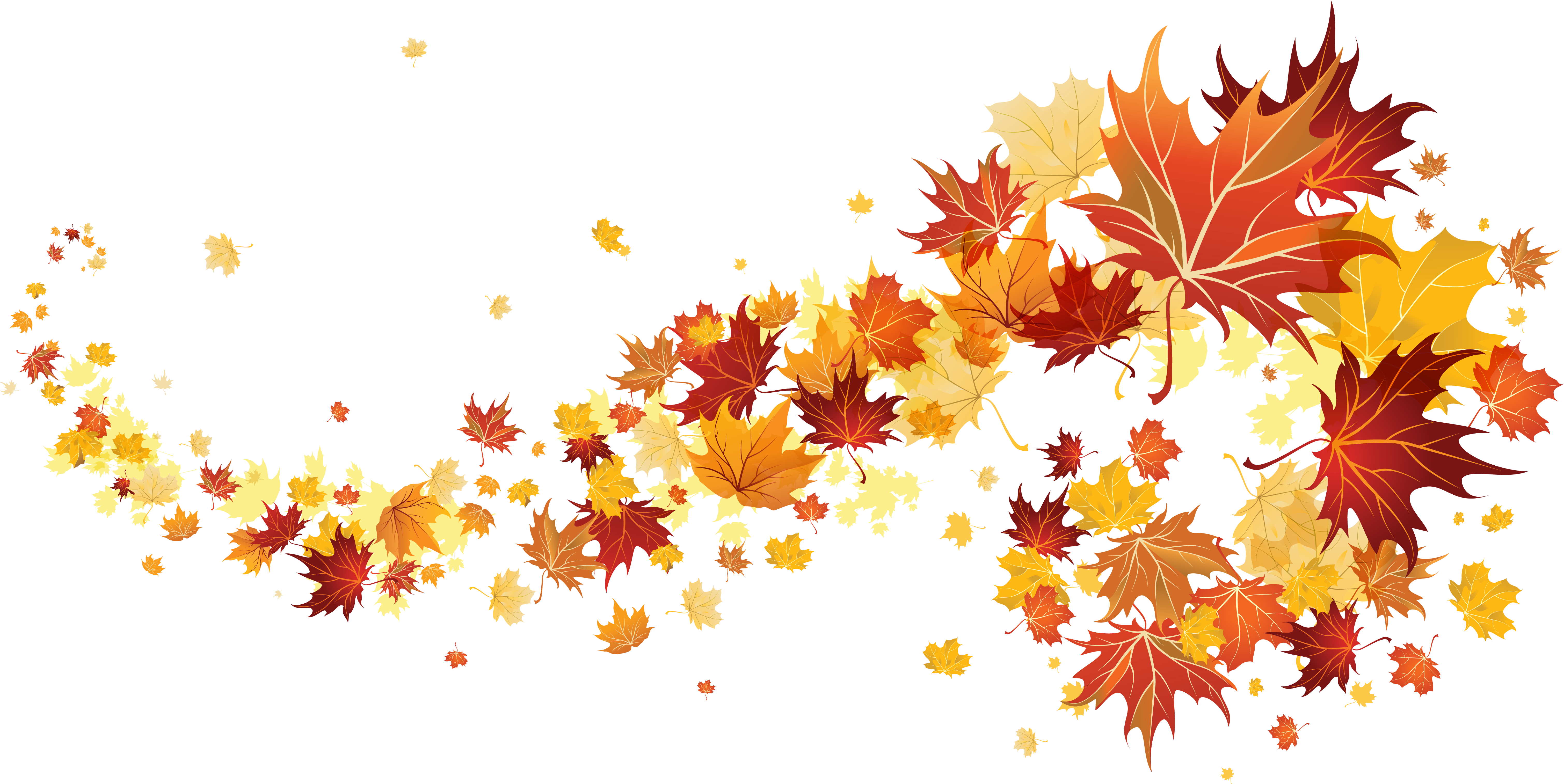 fall leaves transparent background 25